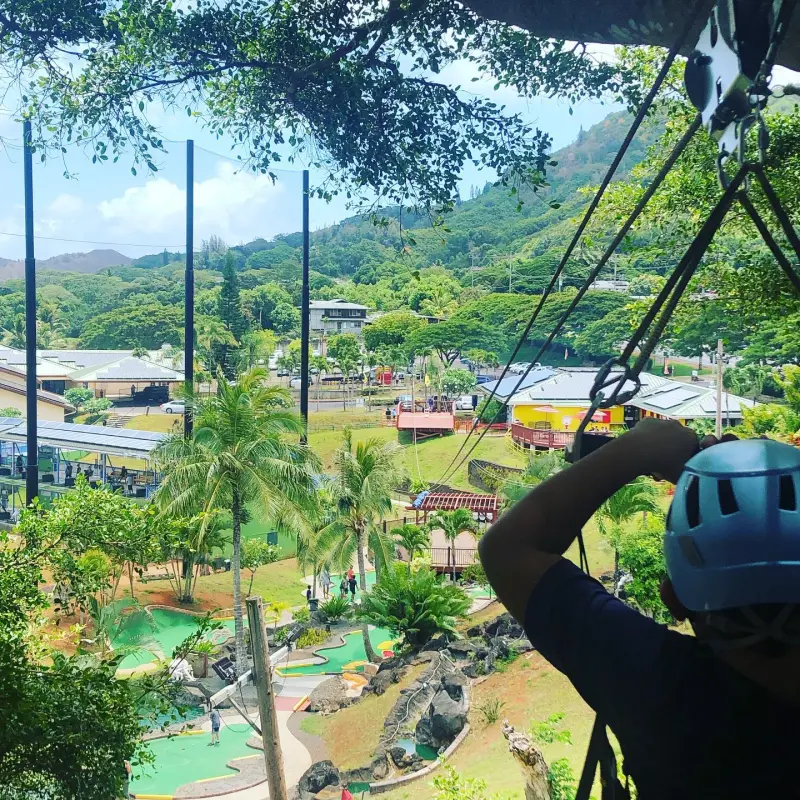 a person sitting in a garden