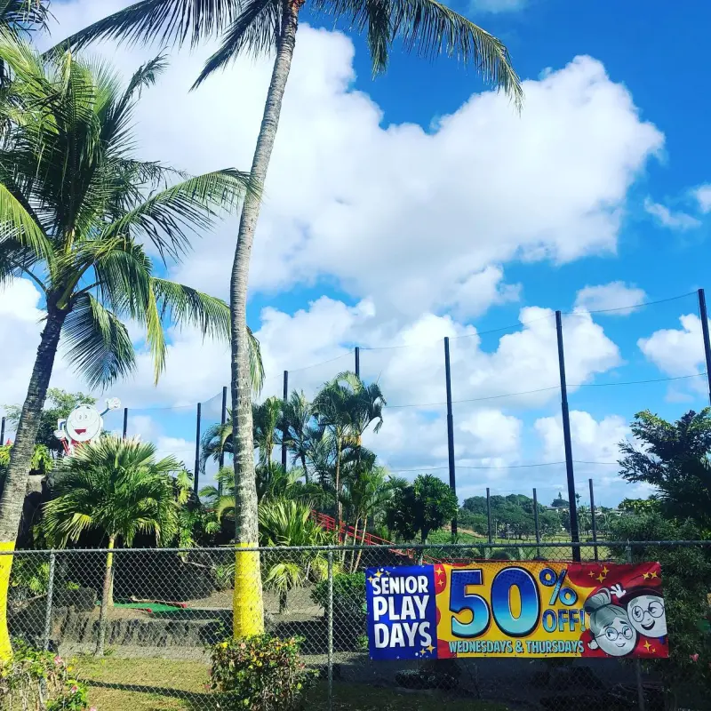 a sign in front of a palm tree
