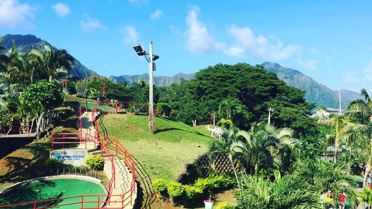 a giraffe standing in a garden