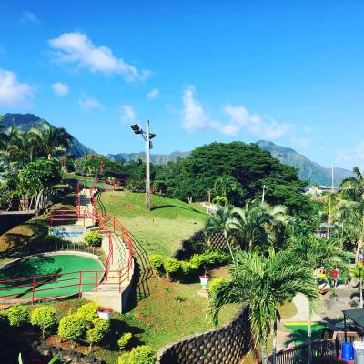 a giraffe standing in a garden