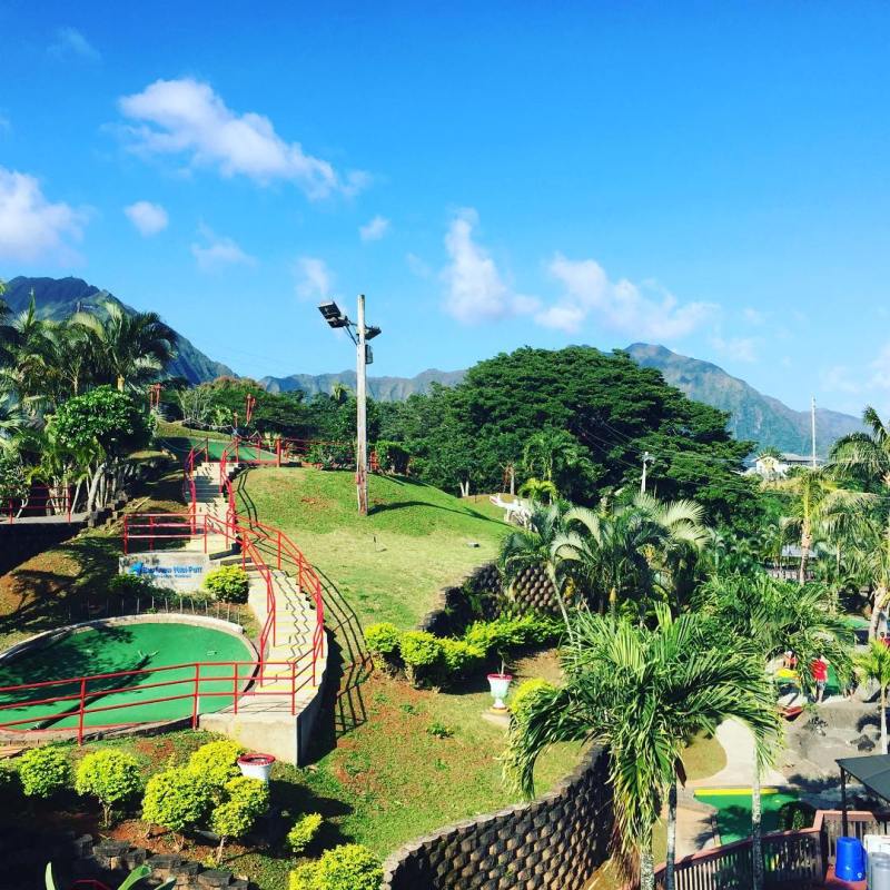 a giraffe standing in a garden