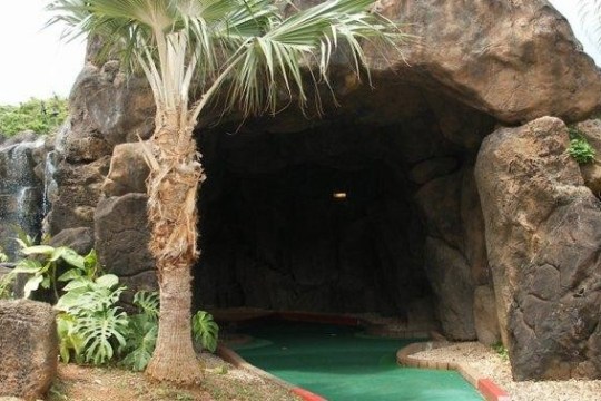 a tree in front of a large rock