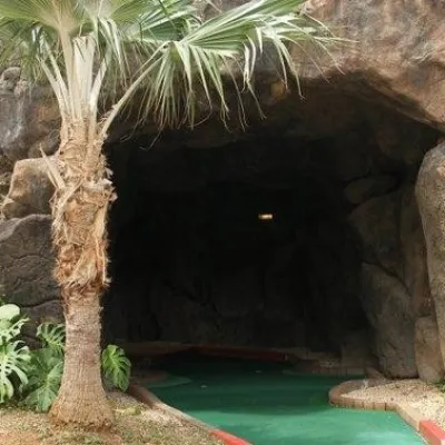 a tree in front of a large rock