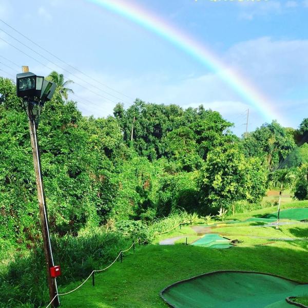 a rainbow over a field of green grass