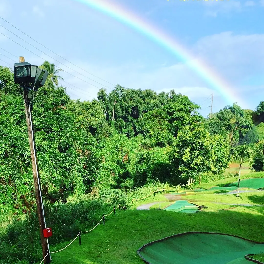 a rainbow over a field of green grass
