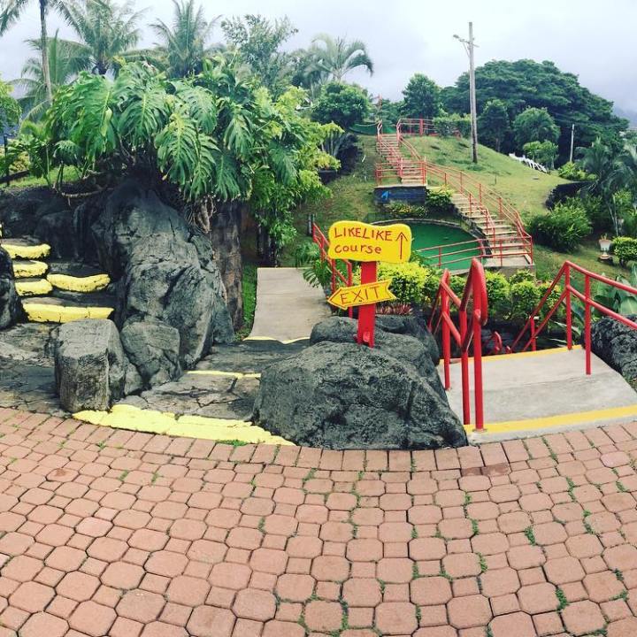 a group of people in a garden