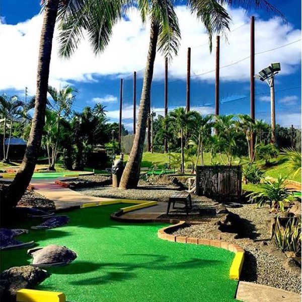 a group of lawn chairs sitting next to a palm tree