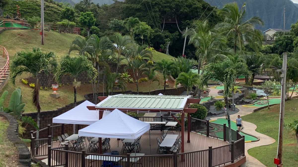 a view of a mountain