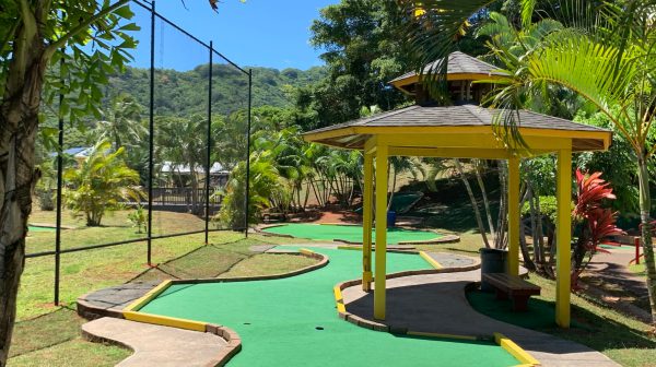 a golf course with trees in the background